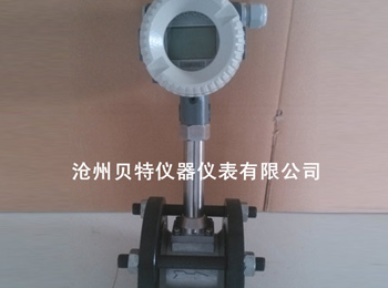 涡街（碳钢法兰夹装）